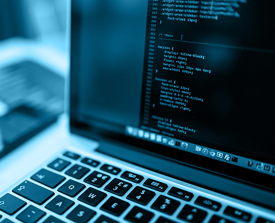 Desarrollo Web